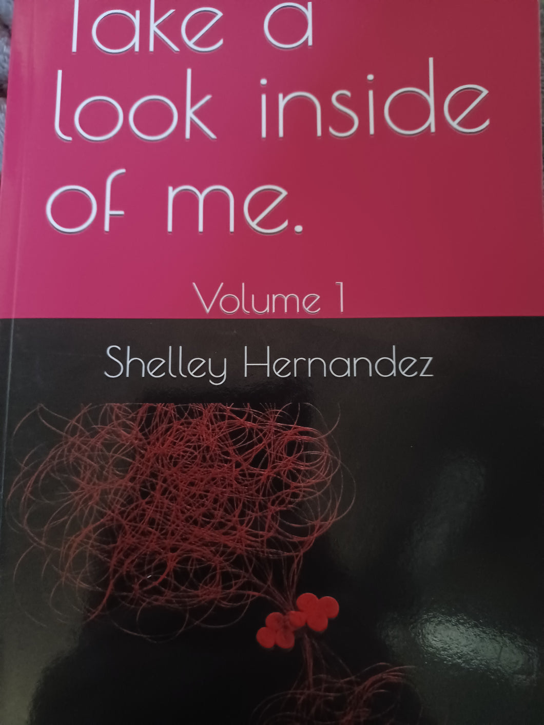 Take a look inside of me Volume 1